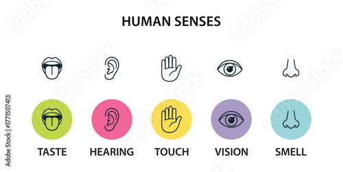 Human senses icon set. Vision eye, smell nose, hearing ear, touch hand, taste mouth with tongue. Simple line icons and black circle. Five senses of human nervous system. Vector illustration.