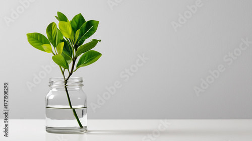 Glass jar with single flour...