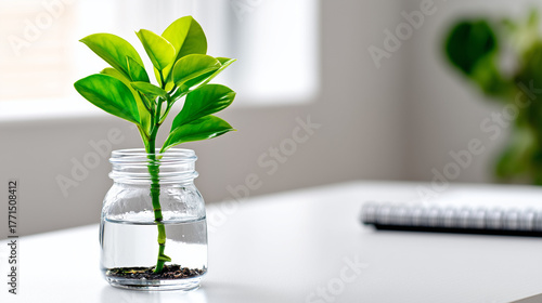 Glass jar with single flour...