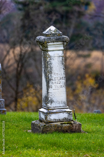 Vertical image of an old marble headstone in a graveyard with biological growth in an old cemetery during fall.   