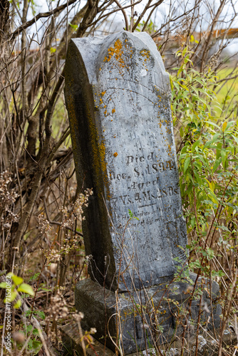 Vertical image of an old marble headstone in a graveyard with biological growth in an old unkempt cemetery.  