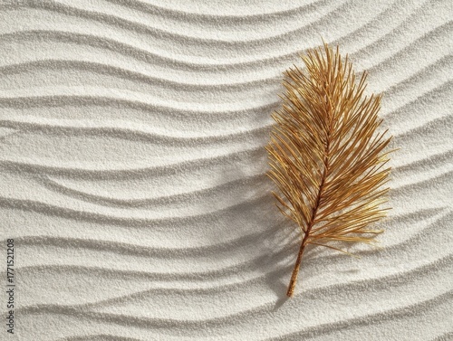 Golden Palm Frond on Wavy Sand Texture Minimalist Tropical Decor Concept Abstract Beach Background Natural Still Life