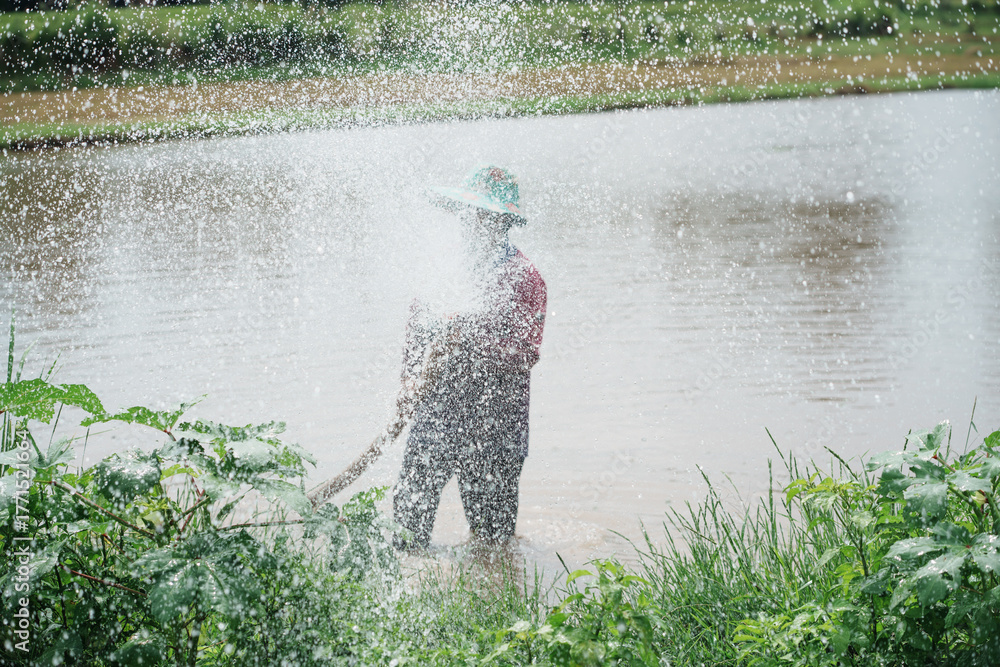 Obraz premium Irrigation worker cultivating rice rural farmland photography natural environment close-up view agriculture practices