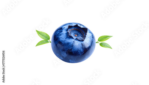 Fresh ripe blueberries, sweet fruits and berries isolated on white background