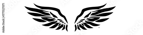 stylized black and white wings design with sharp feather details, suitable for logo or tattoo