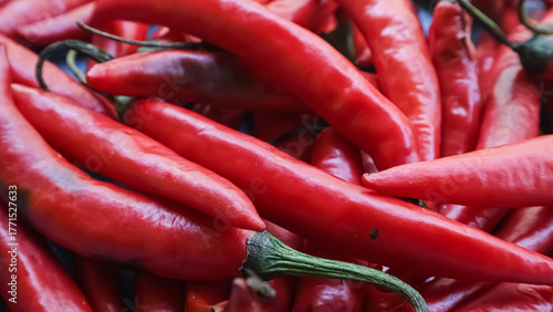 pile of big red chilies