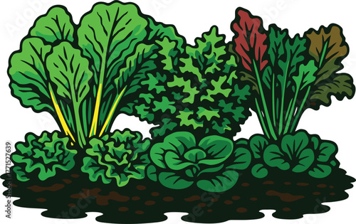 Green leafy vegetables growing fresh together in a healthy fertile home garden