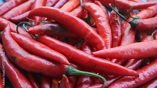 pile of big red chilies