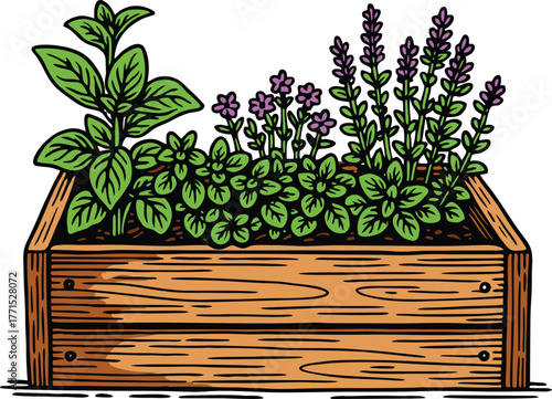 Wooden planter box filled with fresh green herbs and small blooming flowers