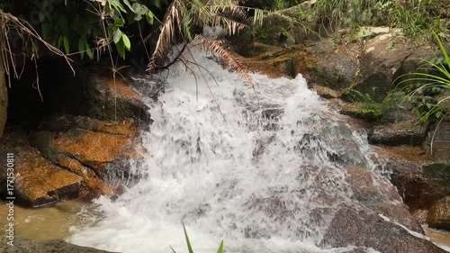A gentle stream cascades through mossy stones and green vegetation in a humid forest, capturing the essence of untouched tropical beauty. Jungle creek, natural freshness.
