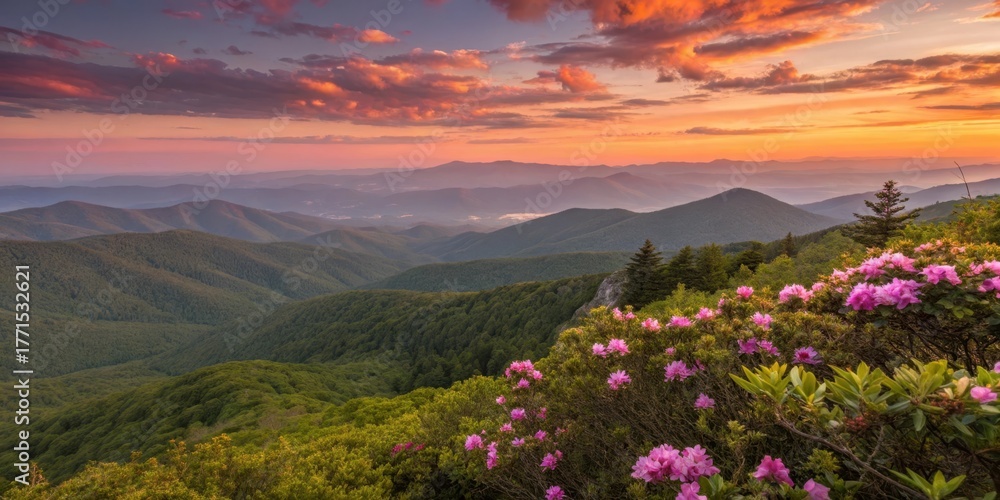 Fototapeta premium Landscape photography of mountain range at sunset with flowers in foreground wallpaper