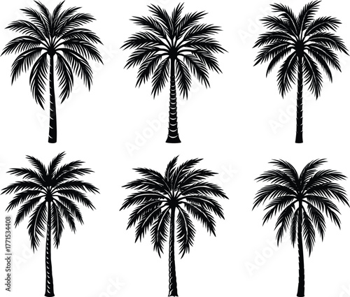 Tropical palm tree silhouettes at sunset on a summer beach