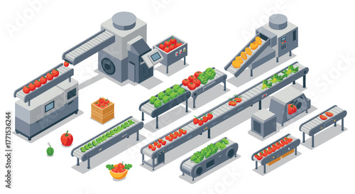 Modern isometric tomato processing plant with conveyor systems