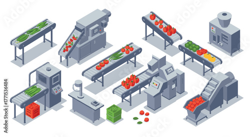 Isometric factory assembly line with conveyors sorting fresh vegetables and fruits