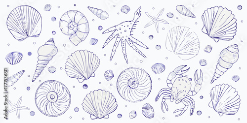 Collection of hand drawn seashells starfish crab and pearls on white background