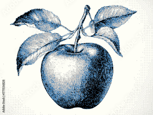 Blue-toned vintage illustration of an apple with leaves.