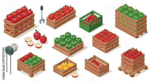 Isometric display of fresh apples in wooden crates and boxes with robotic picker
