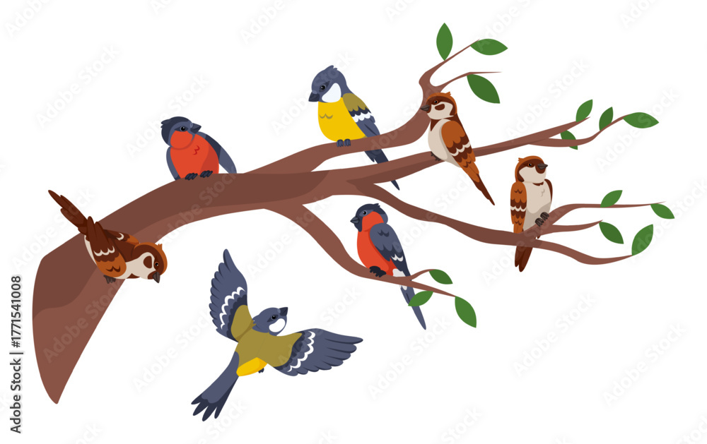 Naklejka premium Beautiful birds sitting on tree branches. Chickadees and sparrows flit. Plant canopy. Fly animals fowl. Cute avian group. Park birdwatching. Spring bullfinch. Vector ornithology concept