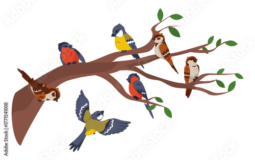 Beautiful birds sitting on tree branches. Chickadees and sparrows flit. Plant canopy. Fly animals fowl. Cute avian group. Park birdwatching. Spring bullfinch. Vector ornithology concept
