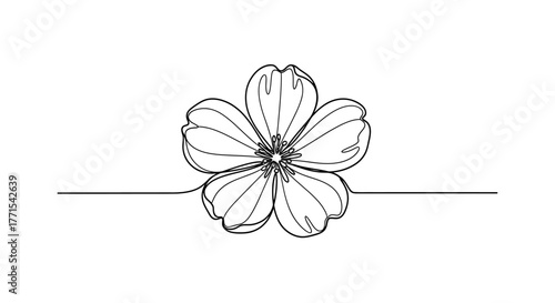 One line drawing of a flower, vector illustration