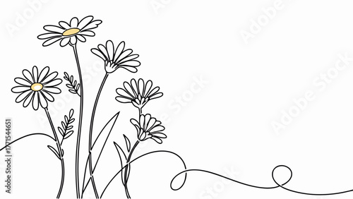 Animated Single Line Drawing of Chamomile Flowers Motion Design