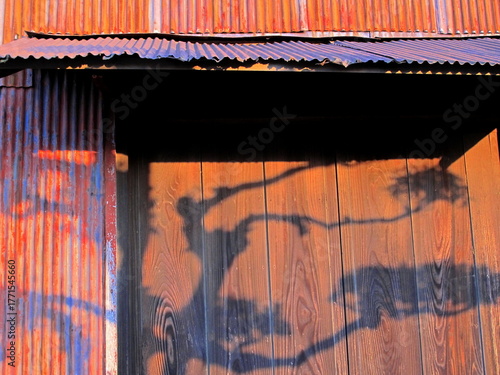 庭の松の木の影の映る古い建物の板壁