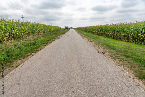 Wallpaper Mural Landscape with long asphalt road, rural Polish region - Podlasie Torontodigital.ca