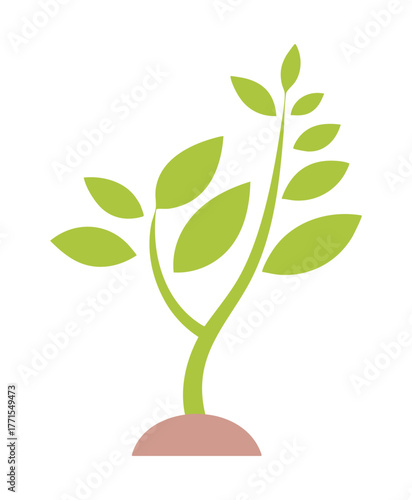 Green Sprout Growing from Soil with Multiple Leaves Keywords: sprout, plant, growth, seedling