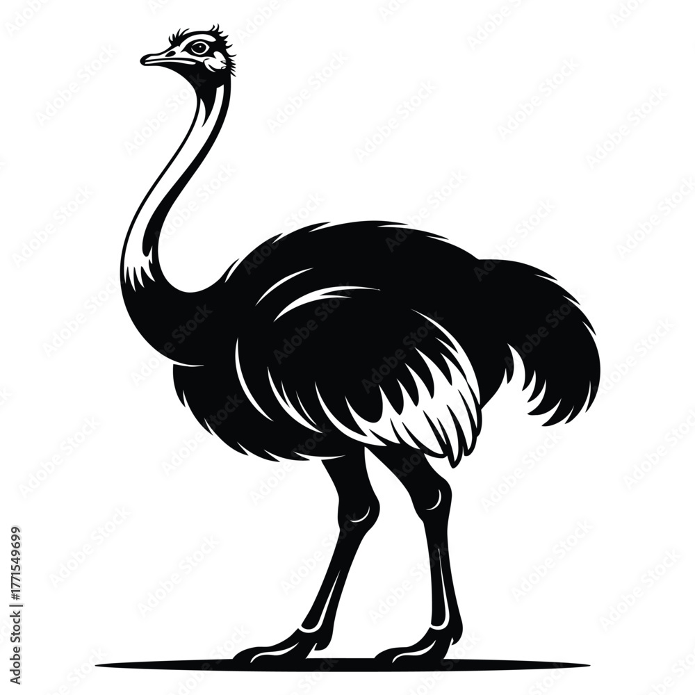 Naklejka premium ostrich vector illustration