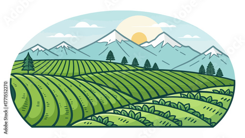 A green tea plantation landscape with mountains and sun