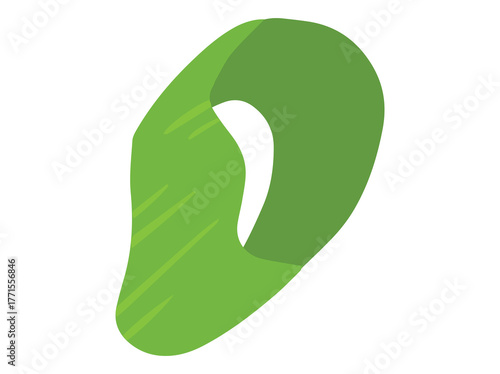 Green Onion Slice Scallions Illustration
