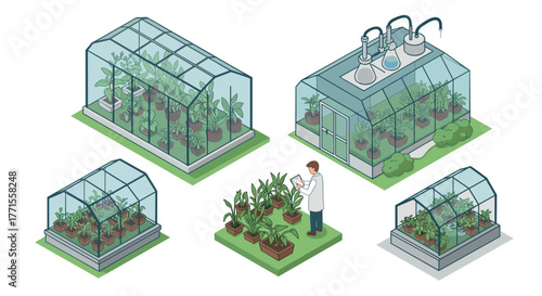 Isometric greenhouses and scientist with plants in modern garden facility