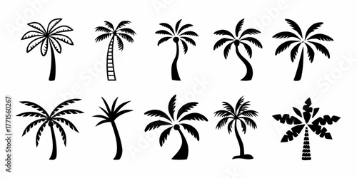 Collection of diverse black palm tree silhouettes on a white background representing tropical nature