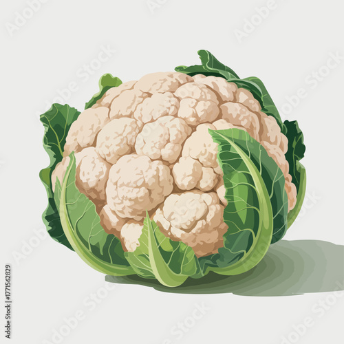 Fresh whole cauliflower with green leaves isolated on white background