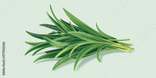 Fresh green rosemary sprigs on a light background
