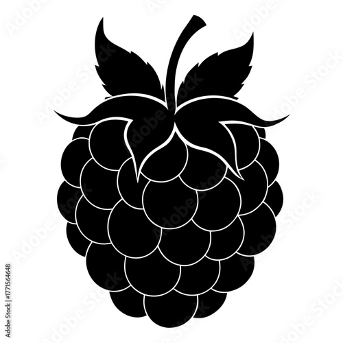 blackberry silhouette on white background