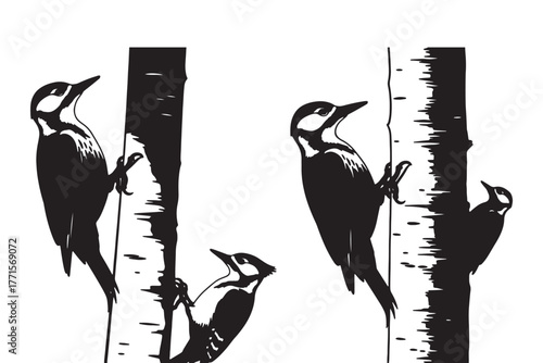 Woodpeckers on trees illustration, isolated on white background, showcasing wildlife and nature, ideal for educational materials and naturethemed designs
