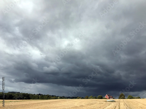 Thunderstorm over cornfield