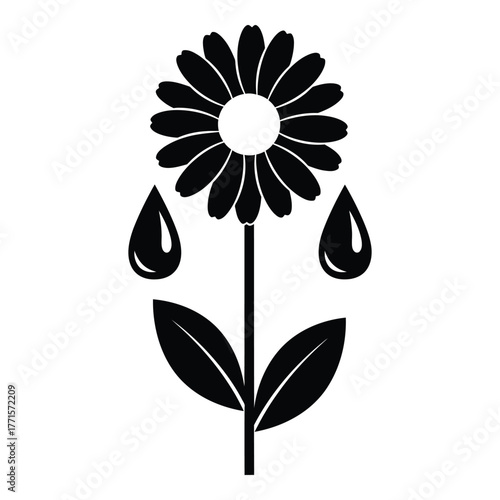 Black silhouette of a daisy flower with water droplets and leaves emblematic of nature and purity for graphic design projects silhouette