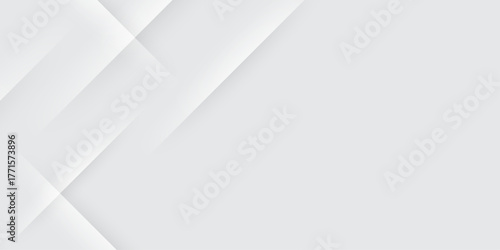 3449Elegant abstract background with grey lines with shadow. modern abstract gray line light dynamic shape composition background. Gray and white geometric background with copy space. , Modern design.