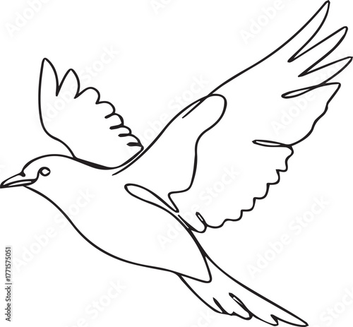 Dove in the sky