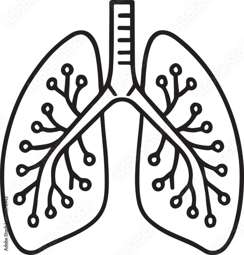 Human Lungs with Bronchi