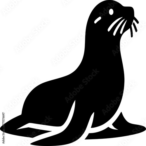 black sea lion and seal animal silhouette illustration