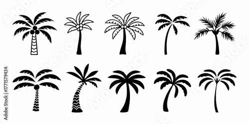 Collection of diverse black palm tree silhouettes in various styles and shapes on a white background