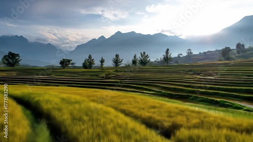 Scenic view of terraced rice fields with mountains in the background