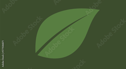 Stylized, simple illustration of a green leaf with a central vein, on a dark green backdrop