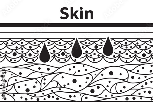Illustration of skin layers showing epidermis, dermis, and subcutaneous tissue isolated on white background for educational or medical purposes