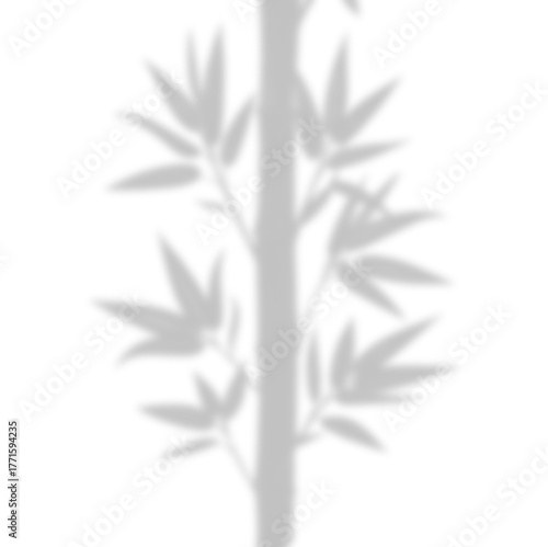 Soft Bamboo or Fine Leaves Corner Shadow Overlay