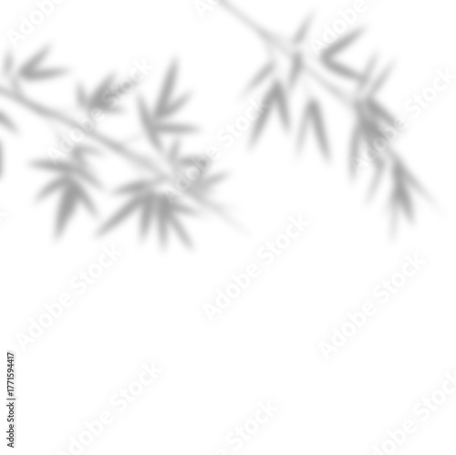 Soft Bamboo or Fine Leaves Corner Shadow Overlay