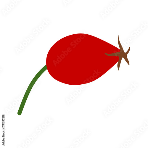 rosehip fruit vector